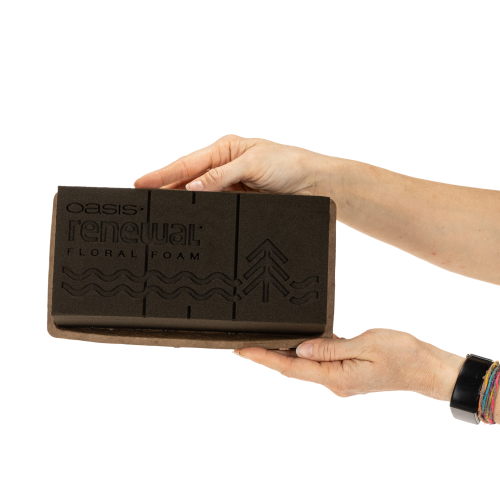 Floral foam 1/1 brick OASIS® Renewal® Floral Foam Biolit® 24cm 2pcs | Floristik24.ie