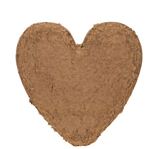 Floral foam heart OASIS®