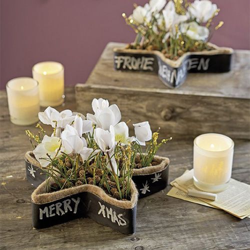 Product Wet floral foam star for arrangements 25 x 25 x 4.5 cm