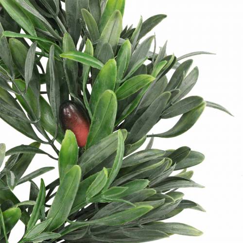 Floristik24 Olive wreath artificial green Ø28cm decoration mediterranean