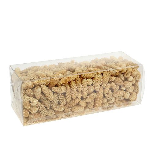 Floristik24 Omorika cones grated bleached 600g