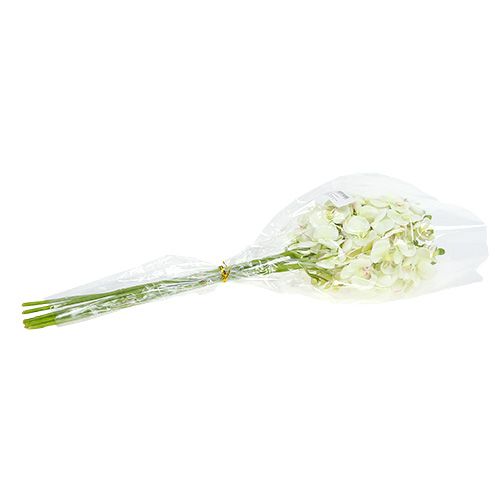 Product Orchid light green 56cm 6pcs