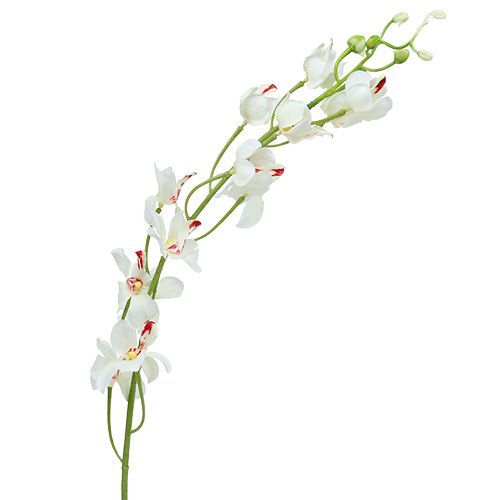 Floristik24 Orchid Mokara White 92cm 3pcs