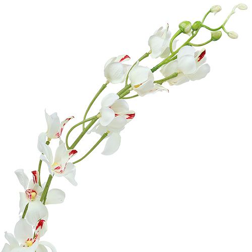 Product Orchid Mokara White 92cm 3pcs