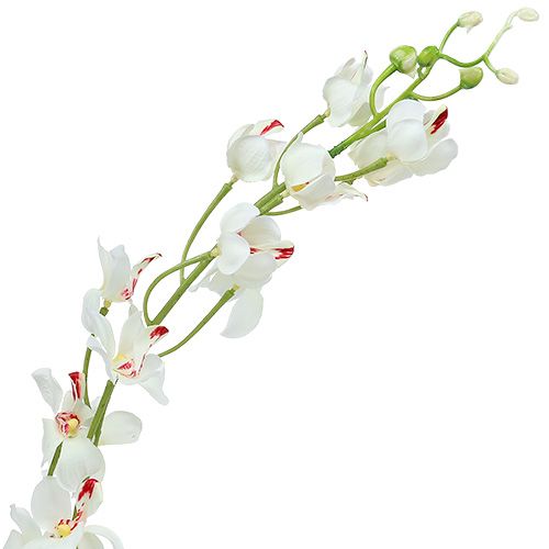 Product Orchid Mokara White 92cm 3 pcs
