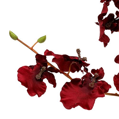 Product Orchid Oncidium 70cm dark red 3pcs
