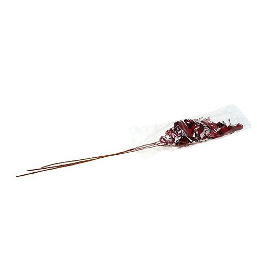 Floristik24 Orchid Oncidium 70cm dark red 3pcs