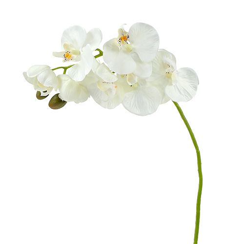 Orchid white artificial L73cm 4pcs
