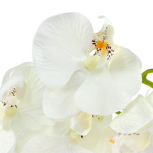 Floristik24 Orchid white artificial L73cm 4pcs