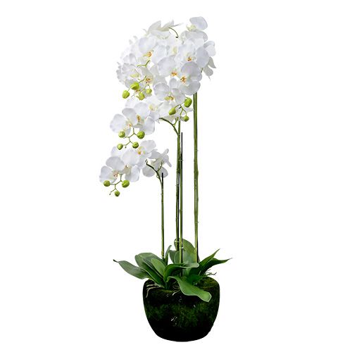 Orchid white with globe 110cm