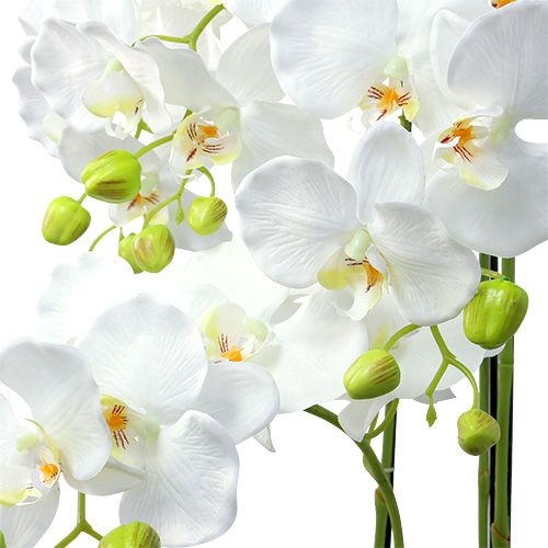 Floristik24 Orchid white with globe 110cm
