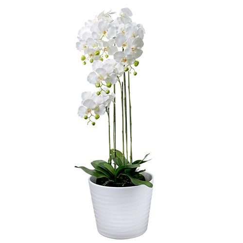 Floristik24 Orchid white with globe 110cm