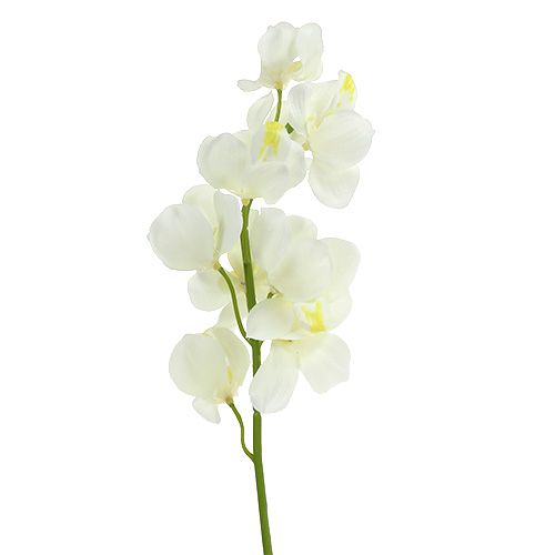 Product Artificial orchid cream 50cm 6pcs