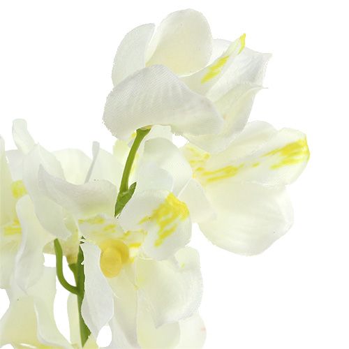Product Artificial orchid cream 50cm 6pcs