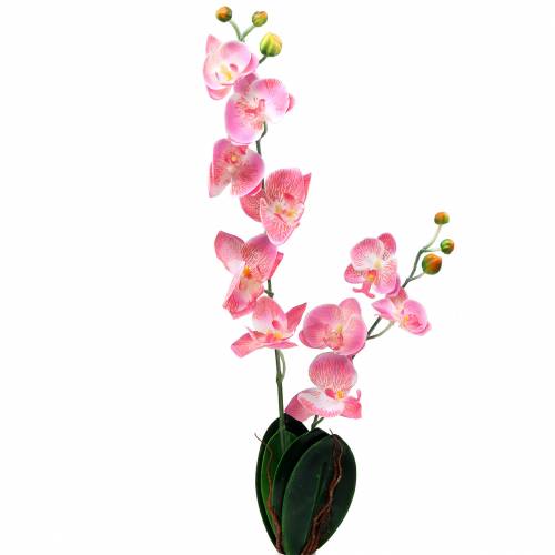 Floristik24 Orchid Phalaenopsis artificial pink 60cm