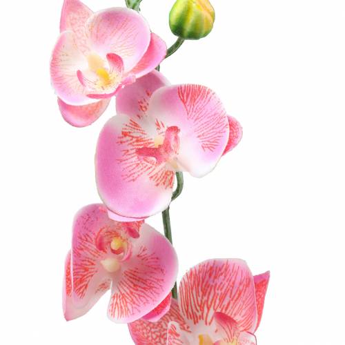 Orchid Phalaenopsis artificial pink 60cm | Floristik24.ie