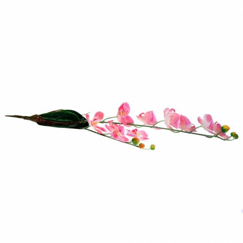Orchid Phalaenopsis artificial pink 60cm | Floristik24.ie