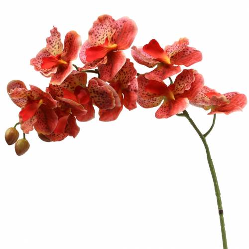 Floristik24 Artificial orchid Phaelaenopsis Red, Orange H81cm