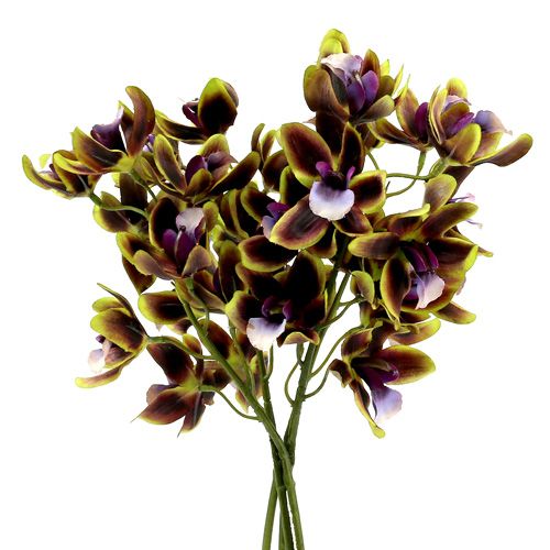Floristik24 Orchid Cymbidium Green, Purple L38cm 4pcs
