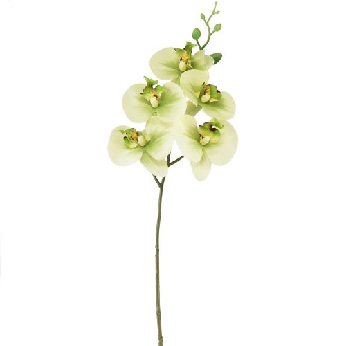 Orchid Artificial Yellow Green Phalaenopsis 85cm