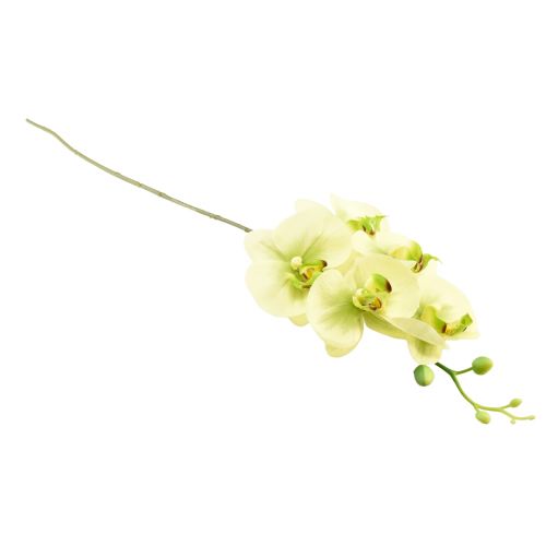 Product Orchid Artificial Yellow Green Phalaenopsis 85cm
