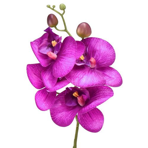 Orchid Artificial Phalaenopsis 4 Flowers Fuchsia 72cm