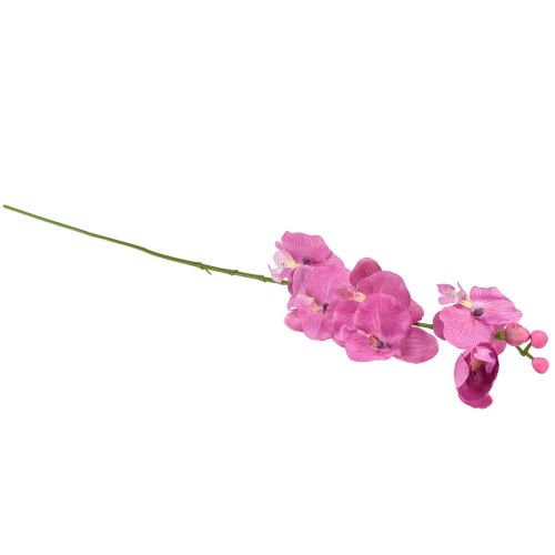 Product Orchid Phalaenopsis artificial 6 flowers purple 70cm