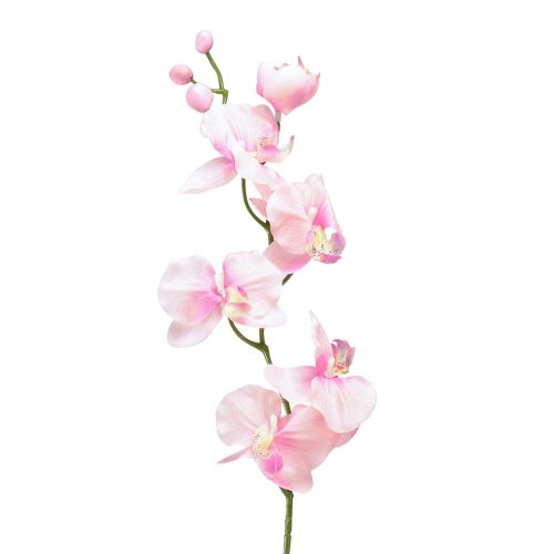 Orchid Phalaenopsis artificial 6 flowers pink 70cm
