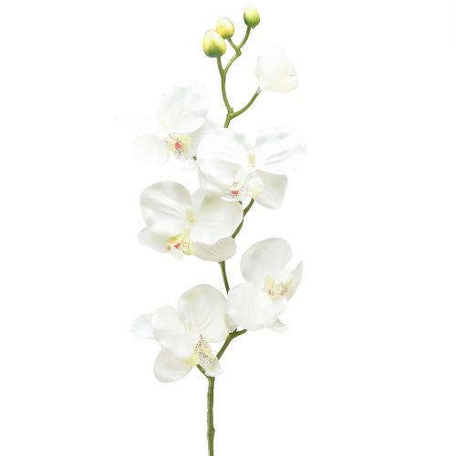 Orchid Phalaenopsis artificial 6 flowers white cream 70cm