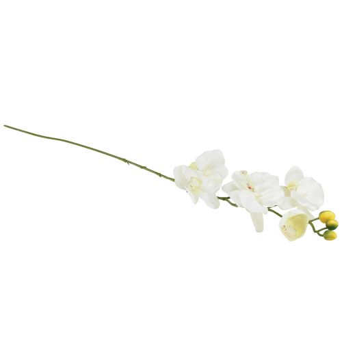 Product Orchid Phalaenopsis artificial 6 flowers white cream 70cm