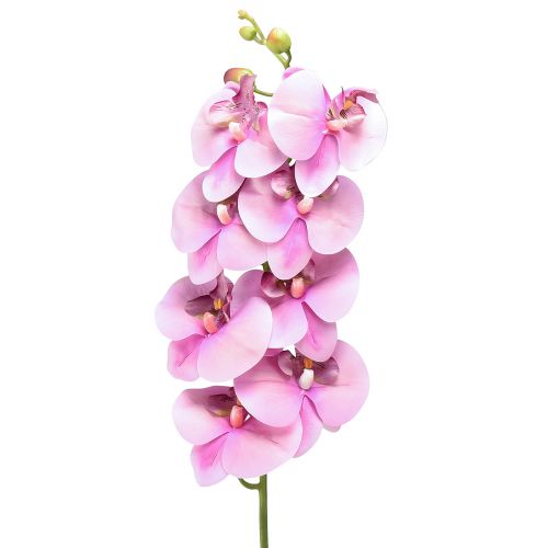 Product Orchid Phalaenopsis artificial 8 flowers pink 104cm
