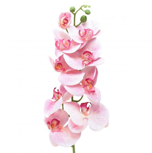 Orchid Phalaenopsis artificial 9 flowers pink white 96cm