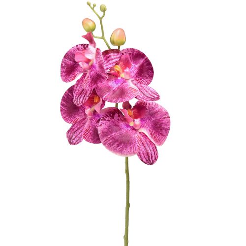 Orchid flamed Artificial Phalaenopsis Violet 72cm