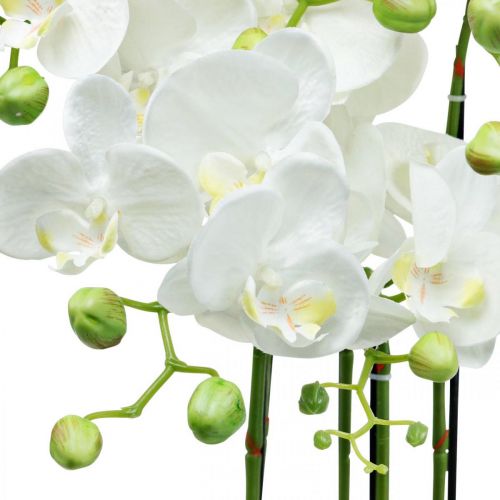 Floristik24 Artificial orchids in pot white artificial plant 63cm