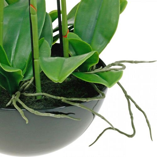 Floristik24 Artificial orchids in pot white artificial plant 63cm