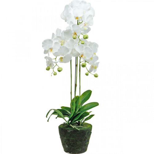 Product Artificial orchids for the pot white 80cm