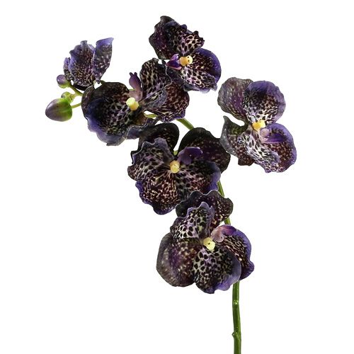 Orchid Vanda artificial violet L 44cm
