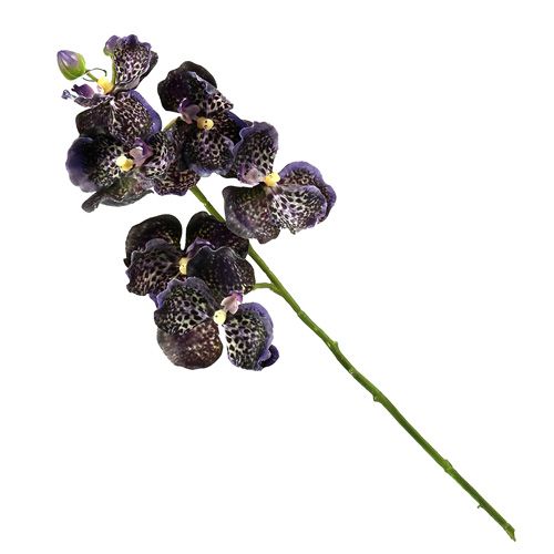 Floristik24 Orchid Vanda artificial violet L 44cm