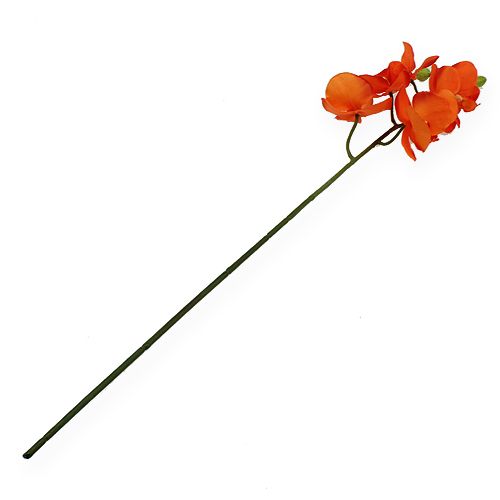 Floristik24 Orchid branch orange 61cm