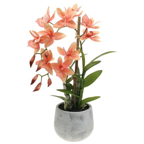 Orchid in a pot salmon H41cm
