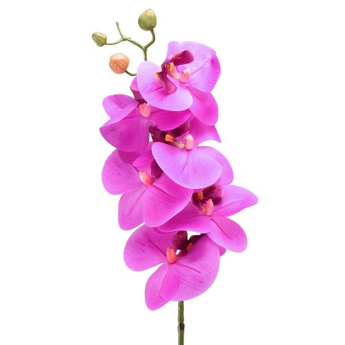 Product Artificial Orchid Phalaenopsis Orchid Pink 78cm