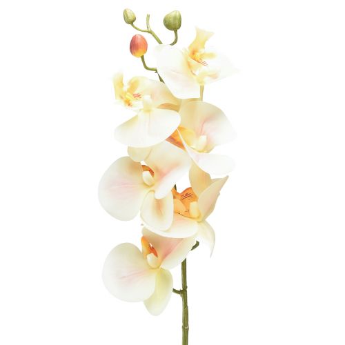 Floristik24 Artificial Orchid Cream Orange Phalaenopsis 78cm