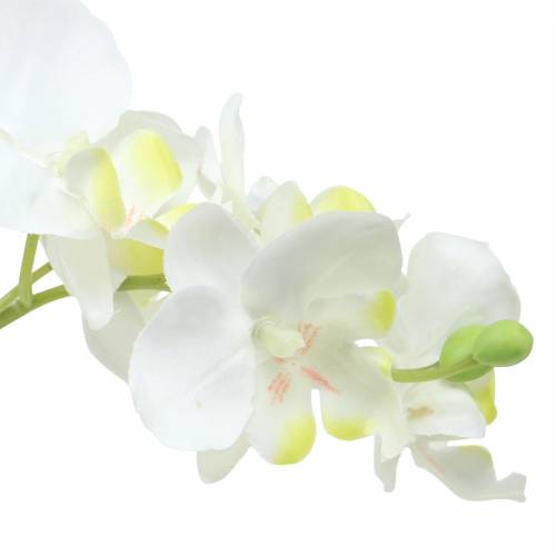 Floristik24 Orchids white in a pot artificial plant H35cm