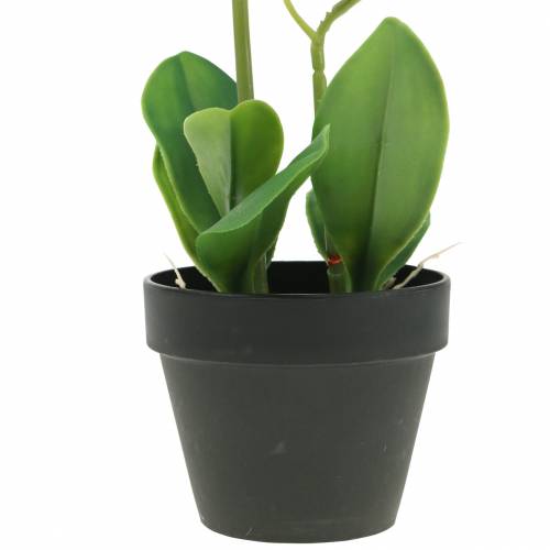 Floristik24 Orchids white in a pot artificial plant H35cm