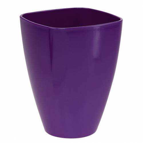 Orchid pot, glossy, Ø12.5cm, violet buy online | Floristik24.ie