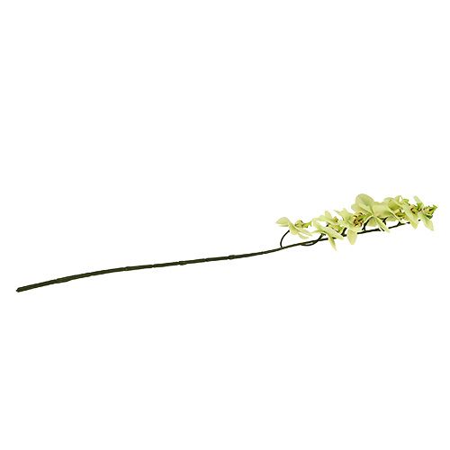 Product Orchid branch light green L58cm