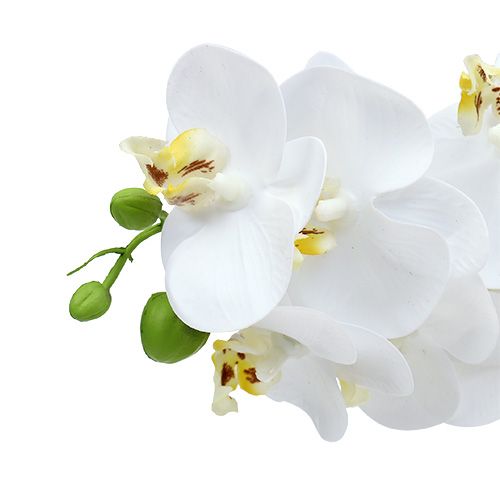 Product Orchid branch white L58cm