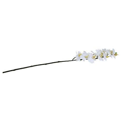 Product Orchid branch white L58cm