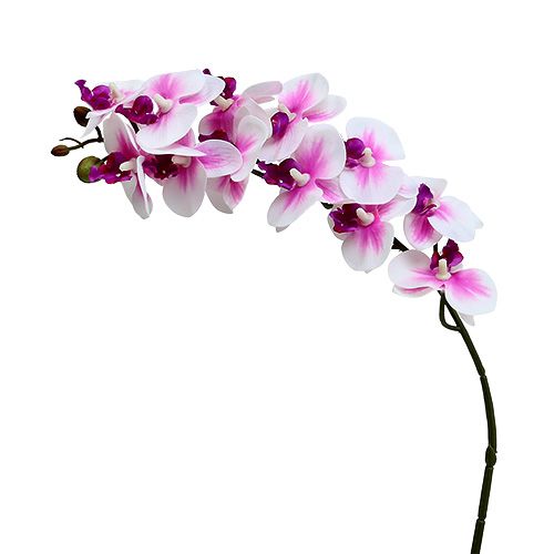 Orchid branch white-pink L58cm