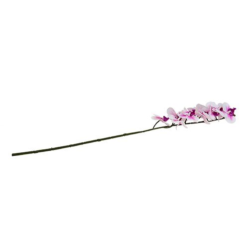 Floristik24 Orchid branch white-pink L58cm
